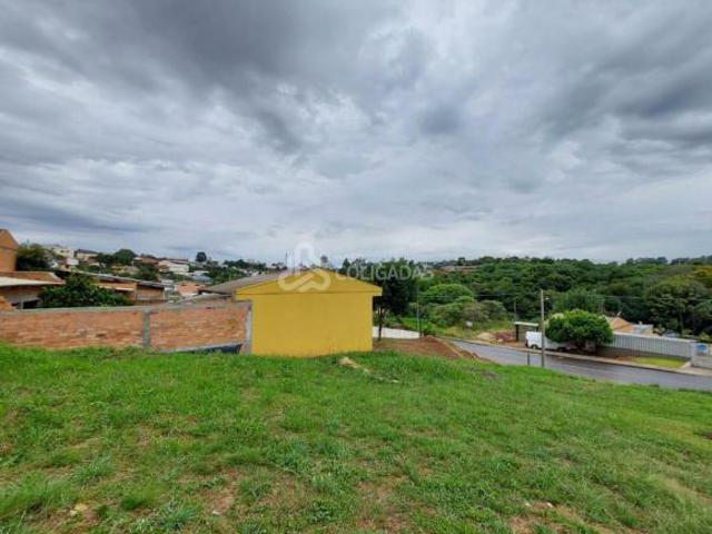 Terreno venda em Passo Fundo
