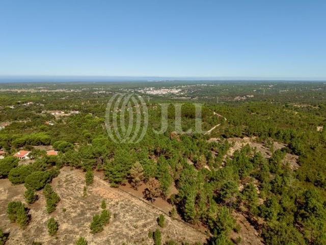 Terreno venda em Grândola, Setúbal