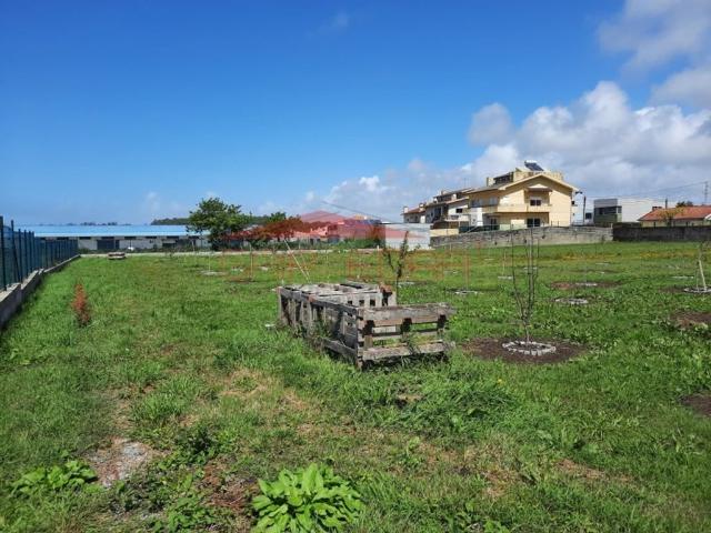 Terreno venda em Avilhoso, Porto