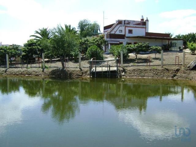 Terreno venda em Cabeça Gorda, Beja