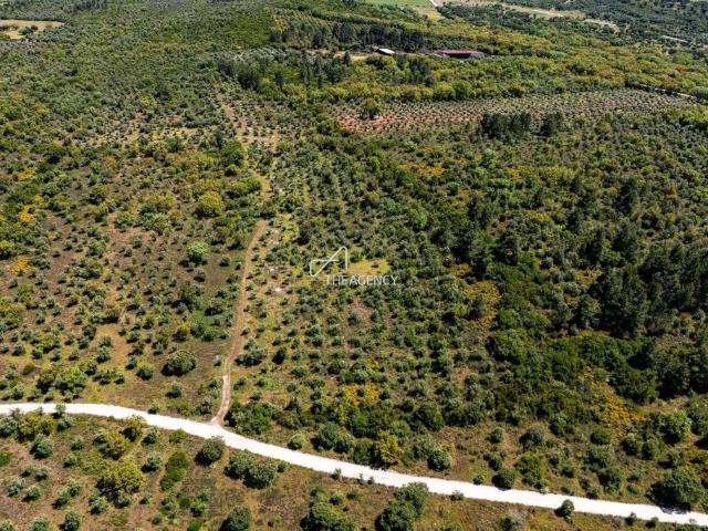 Terreno venda em Borba