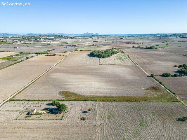 Local Comercial en venta en Pla de Mallorca, Baleares