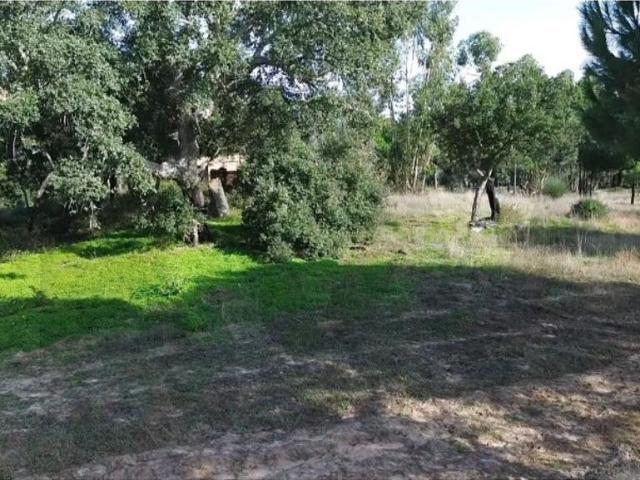 Terreno venda em Melides, Grândola