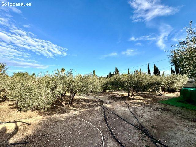 Casa en venta en les Baies / Las Bayas, el Baix Vinalopó