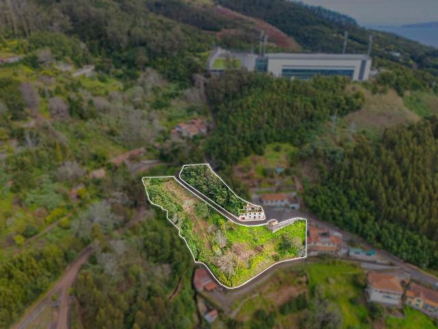 Terreno venda em Funchal, Ilha Da Madeira