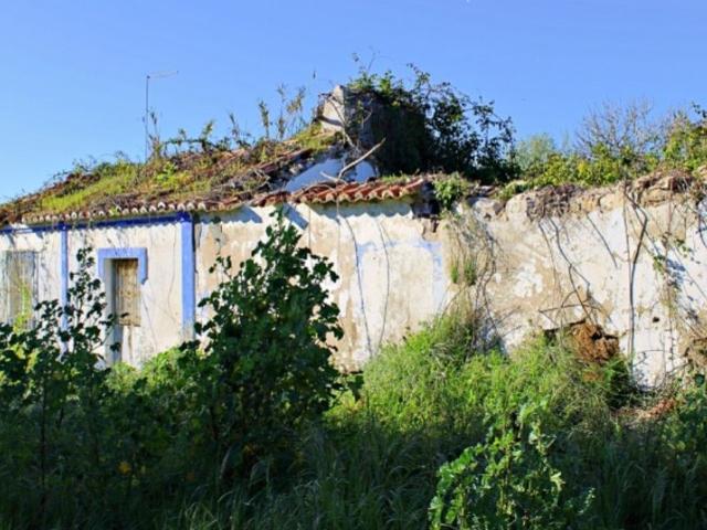 Terreno venda em Melides, Grândola