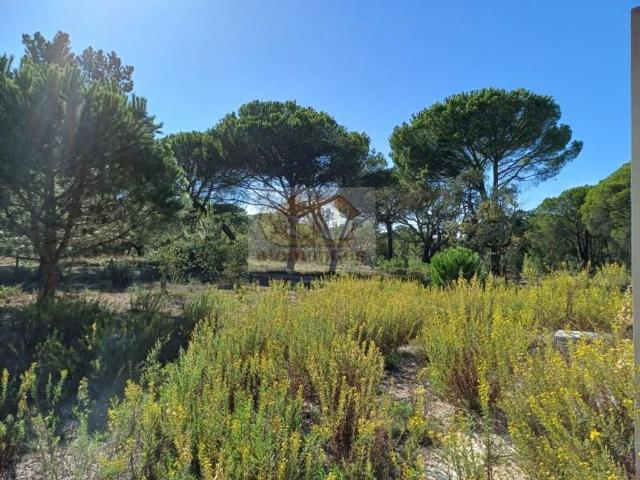 Terreno venda em Grândola, Setúbal