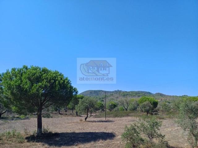 Terreno venda em Muda, Grândola