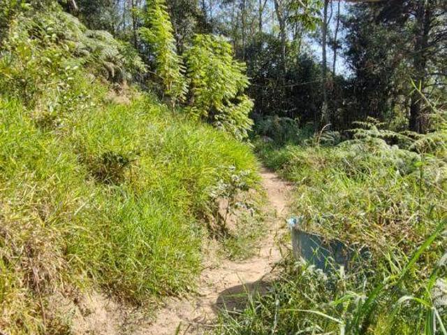 Terreno venda em Região Imediata de São Paulo, Região Metropolitana de São Paulo