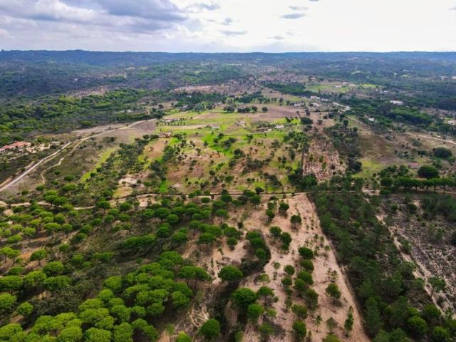 Terreno venda em Melides, Grândola