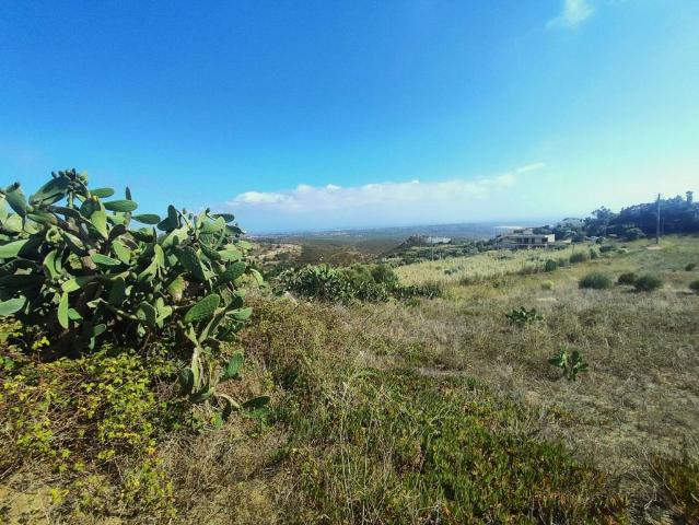 Terreno venda em Cascais, Lisboa