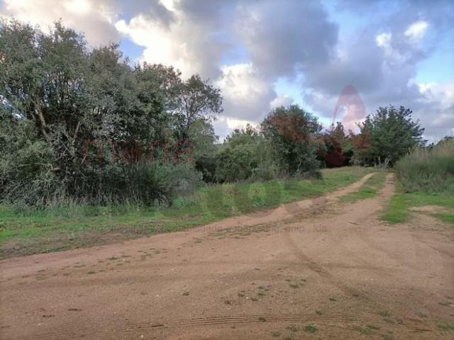 Terreno venda em Vau, Óbidos