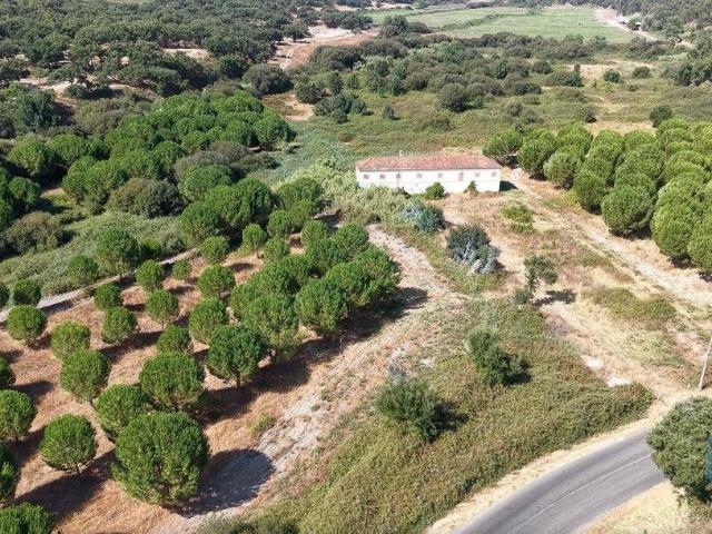 Terreno venda em Tomar, Santarém