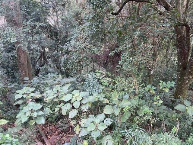 Terreno venda em Região Geográfica Imediata de Caxias do Sul, Caxias do Sul