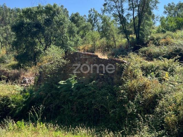 Terreno venda em Castelo Branco, Cumeada