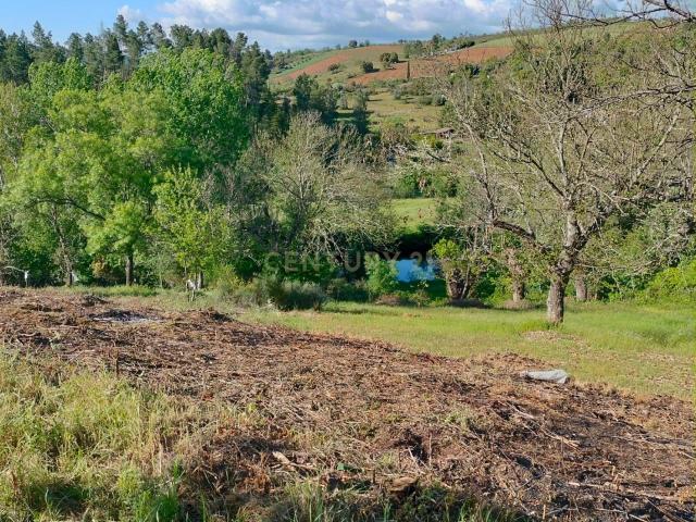 Terreno venda em Sé, Santa Maria e Meixedo, Bragança