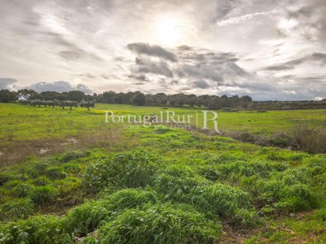 Terreno venda em Elvas, Portalegre