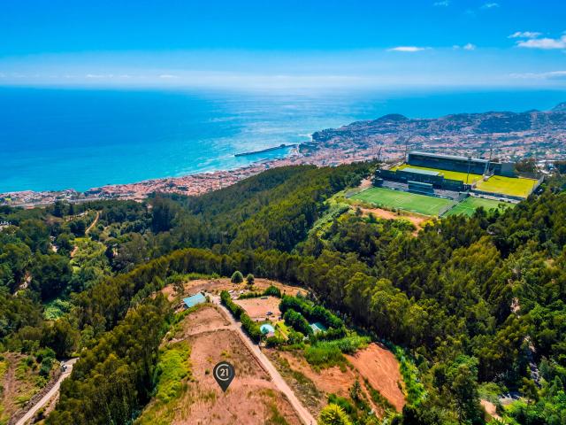 Terreno venda em Palmeira, Funchal