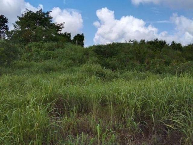 Rancho en venta en Teabo, Yucatán