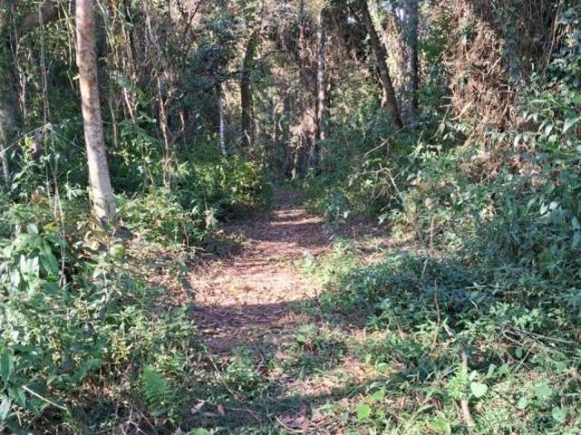 Terreno venda em Juquitiba, Região Geográfica Intermediária de São Paulo