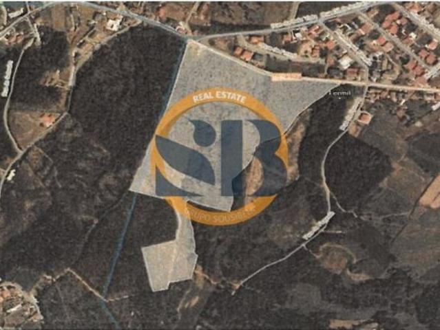 Terreno venda em Oliveira De Azeméis, Aveiro