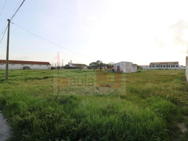 Terreno venda em Alcochete, Setúbal