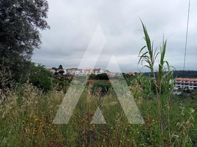 Terreno venda em Leiria