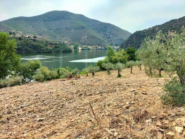 Terreno venda em Freixo Espada À Cinta, Bragança