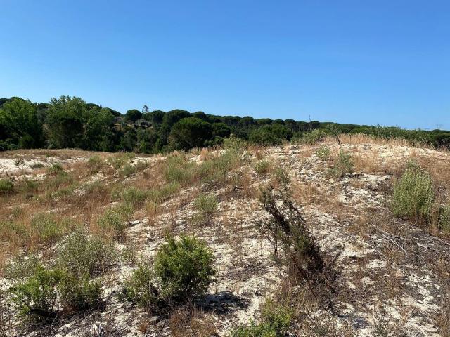 Terreno venda em Grândola, Setúbal