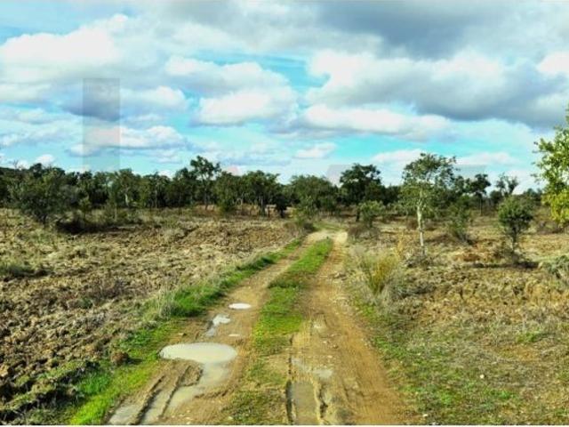 Terreno venda em Grândola e Santa Margarida da Serra, Grândola