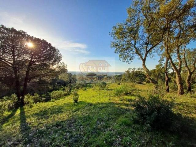 Terreno venda em Grândola, Setúbal