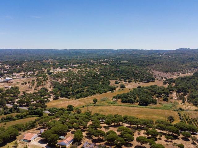 Terreno venda em Melides