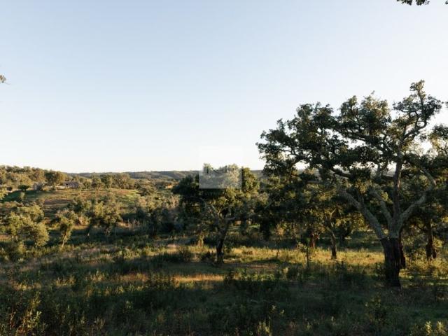 Terreno venda em Valinho, Santiago Do Cacém