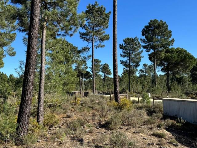 Terreno venda em Comporta
