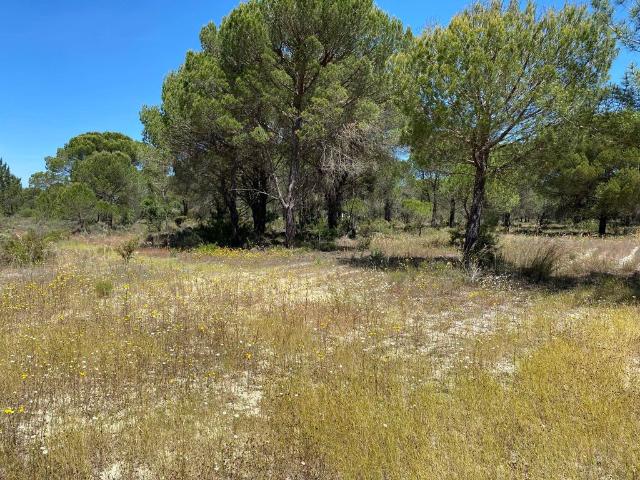 Terreno venda em Alcácer Do Sal, Setúbal