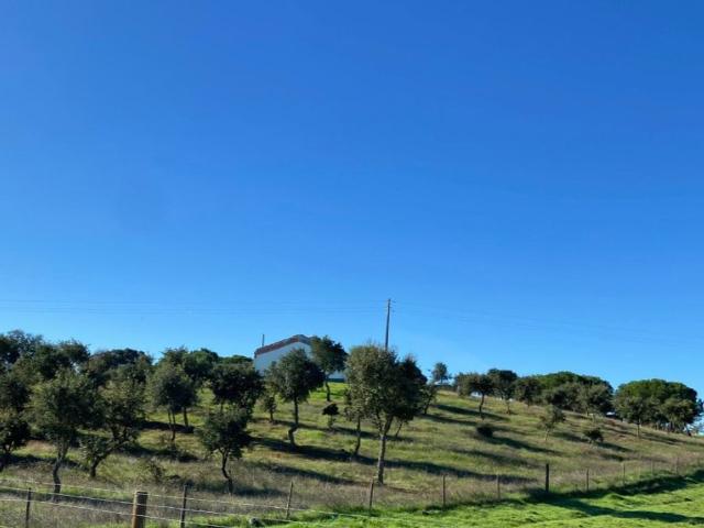 Terreno venda em Grândola, Setúbal