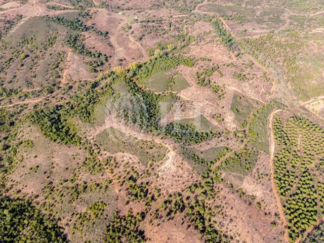 Terreno venda em Grândola, Setúbal