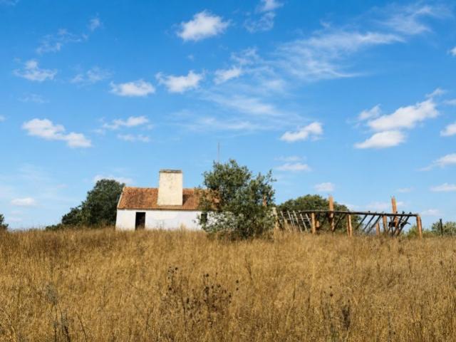 Terreno venda em Grândola e Santa Margarida da Serra, Grândola