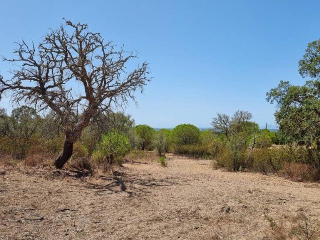Terreno venda em Grândola, Setúbal