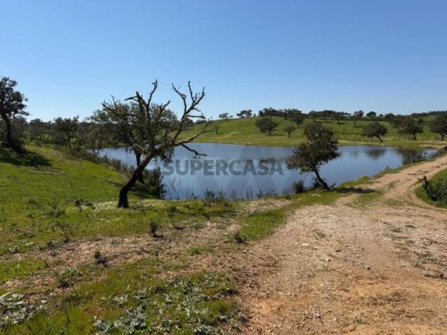 Terreno venda em Santiago Do Cacém, Setúbal