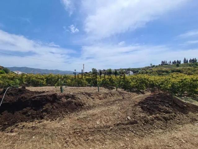 Terreno en venta en Real Bajo, Vélez-Málaga