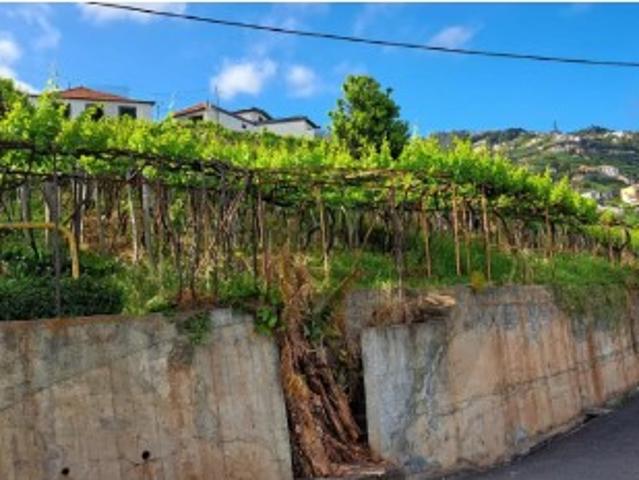 Terreno venda em Câmara De Lobos, Pico e Salões Terreno venda em Câmara De Lobos, Pico e Salões