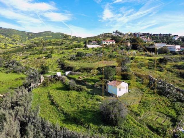 Terreno venda em Quinta de São Martinho, Cascais
