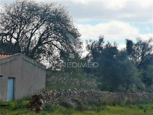 Apartamento venda em São Bartolomeu De Messines, Faro