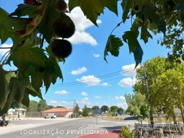 Terreno venda em Entroncamento, Nossa Senhora De Fátima