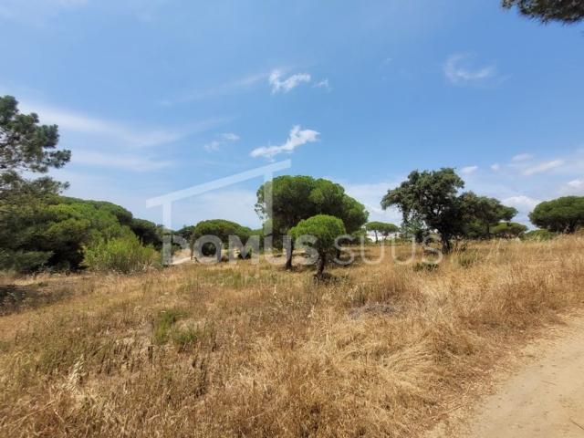 Terreno venda em Faro