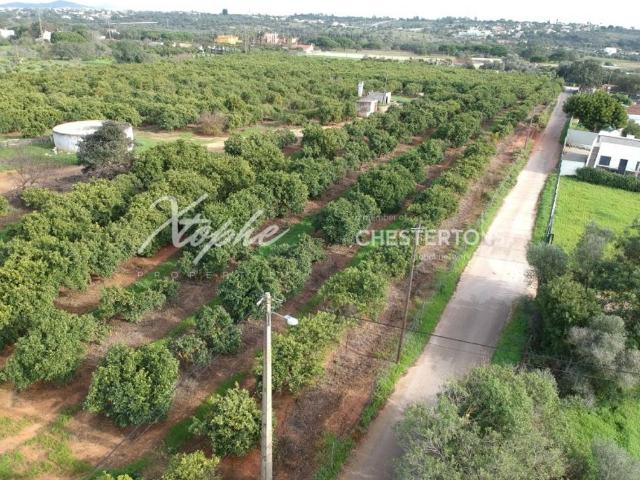 Terreno venda em Semino, Loulé