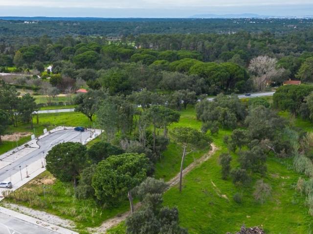 Terreno venda em Azeitão (São Lourenço e São Simão), Setúbal