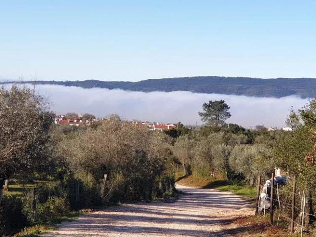 Terreno venda em Borba, Évora