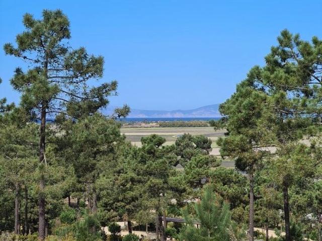 Terreno venda em Comporta